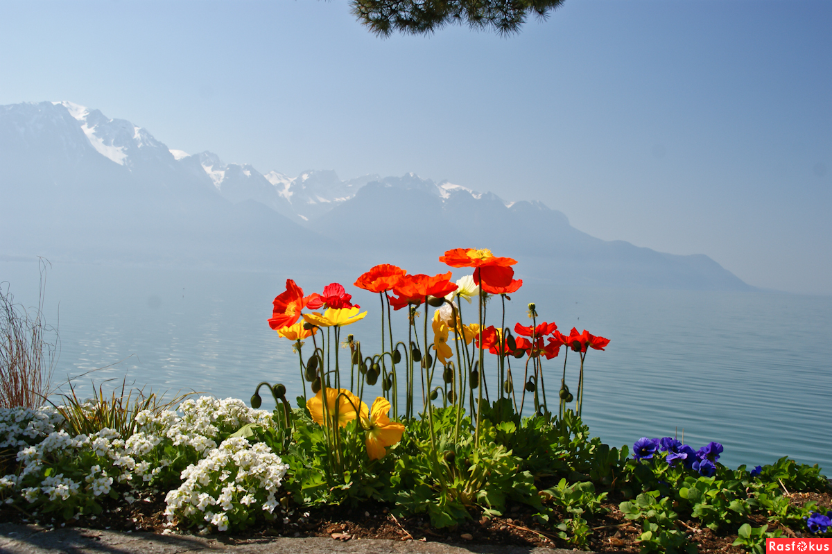 Швейцария, весна )